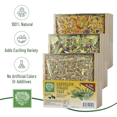 Small Pet Select Forage Tray Bundle, Rabbits & Guinea Pigs, 3-Pack | Dandelion, Flower & Herb Mix, 2.5 oz Each, Natural Foraging Enrichment for Rabbits, Guinea Pigs & Small Pets