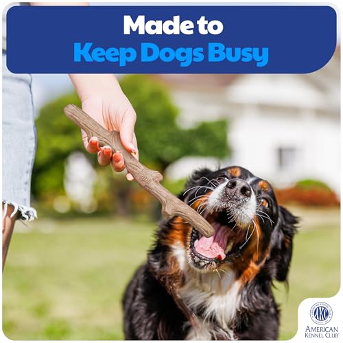 American Kennel Club Training Dog Chew Toy, TPR Wood Stick Dog Toy, Durable Dog Toy for Moderate Chewers, Maplewood Scented for Long-Lasting Engagement, Supports Dental Health - size: Stick