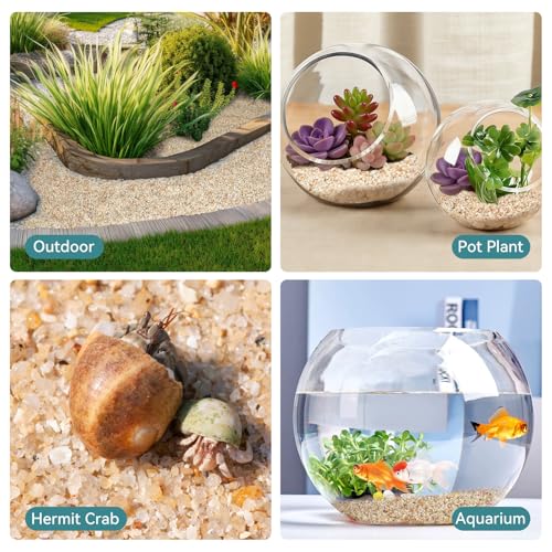 1-2mm Coarse Sand for Plants, 12lbs Horticultural Sand for Gardening | Desert Silica Sand for Cactus, Vases, Aquariums, Terrarium, Fish Tank, Drainage Rocks for Potted Plants, Bamboo, Crafts