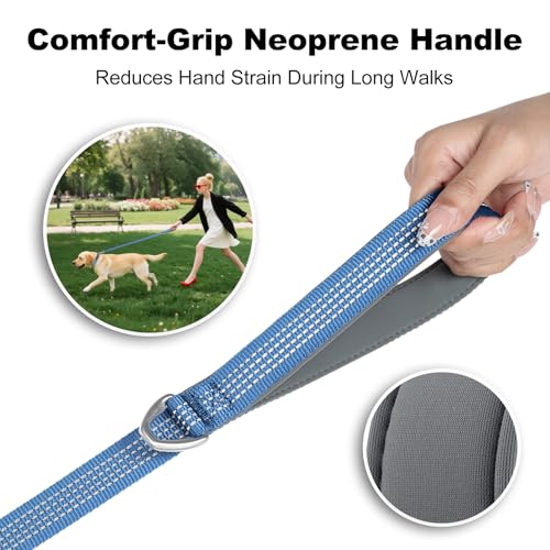 Plutus Pet Heavy Duty Dog Leash with Lockable Aluminum Carabiner, 6 FT Long | Double-Sided Reflective Nylon, Padded Handle, Heavy Duty, for Puppy Small Medium and Large Dogs (Blue, 1" x 6') - color: Blue, size: 1" x 6'