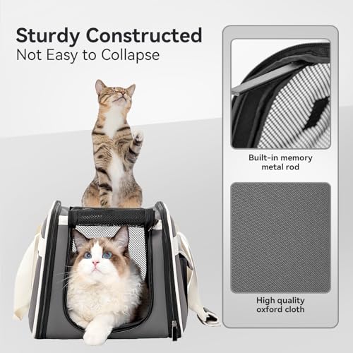 Petsfit Cat Carrier with Wheels, Removable Spinner Wheels, Up to 13 lb | Fits pets up to 15 L x 8 H in and 13 lb; removable spinner wheels, anti-sag frame, 4-sided mesh, safety tether and locks. - color: Medium Gray, size: 20.1"L x 12.2"W x 14.2"H
