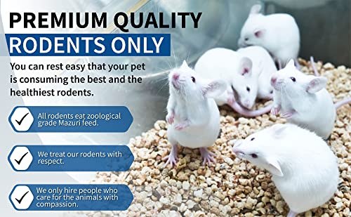 MiceDirect 10 Frozen Rat Combo Pack 5 Larges and 5 Rat Jumbo Feeders Snake Food (9-11 in)(450 Grams Min) - size: 9-11 in (Pack of 10)