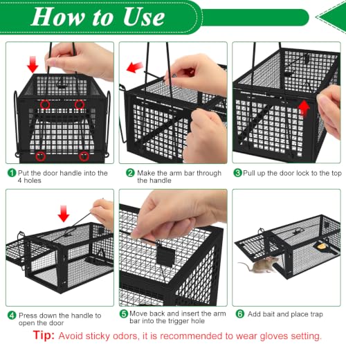 2 Packs Humane Live Mouse Rat Trap Rodent Chipmunk Traps Catch and Release | Black Iron Galvanization, Reusable Safe for Children & Pet Indoor Outdoor - color: Black