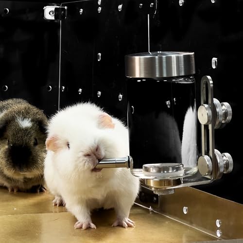 GuineaLoft™ Stainless Steel Glass Water Bottle w/Magnetic Mount (150ml) | Premium Modern Glass Water Bottle for Guinea Pigs, Chinchillas, Hamsters, Birds & Other Small Animals