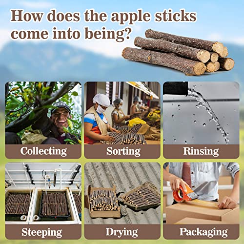 Sukh Natural Organic Apple Sticks - 250g Chew Sticks for Small Animals | Chew Toys for Hamsters, Rabbits, Guinea Pigs, Gerbils, Chinchillas & Squirrels, Teeth Grinding Supplies, Cage Accessories - size: 250g