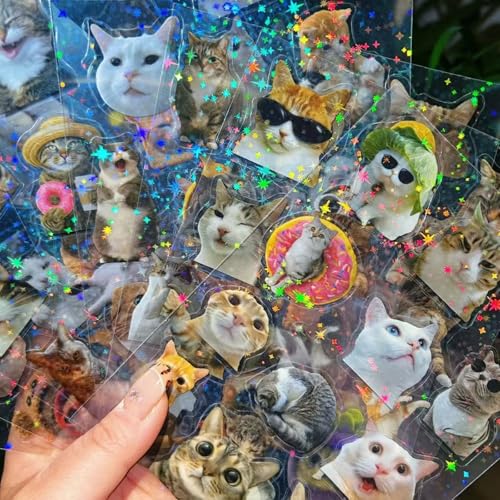 96PCS Holographic Cat Stickers, 8 Sheets Transparent Fun Meme Cat Stickers for Water Bottles Laptop Scrapbook, Cute Kitten Decals for Adults Kids Teens - style: Modern