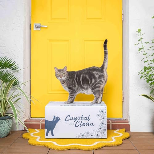 Crystal Clean Premium Fresh Scent Crystal Cat Litter with Odor Control (5X Faster), Best Lightweight, Non Clumping Kitty Litter to Absorb Urine, Dries Solid Waste (2X4.3 Lb Bags) - size: 2X4.3 Lb Bags