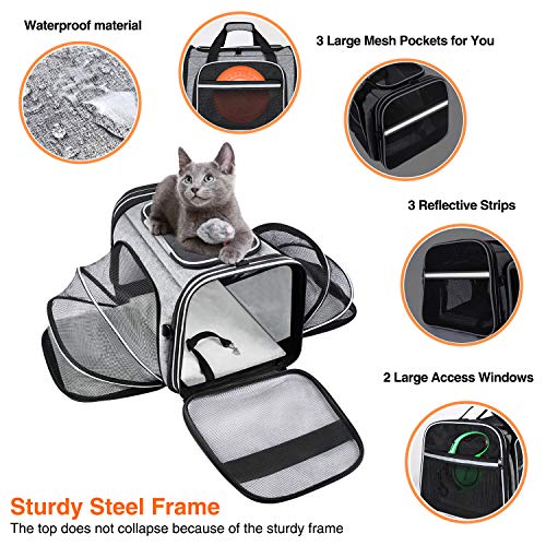 TSA Airline Approved Soft Sided Pet Carrier Top Loading 4 Side Expandable Large Travel Cats Carrier Collapsible with 3 Removable Washable Pads and 3 Pockets for Cats Kitten and Small Dogs