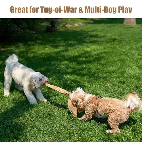 SPOT Skinneeez Leather Snake – 25in Stuffing-Free Dog Toy with Real Leather & 4 Squeakers, Durable Tug Toy for Light to Moderate Chewers, Great for Medium & Large Dogs - size: 25 Inch