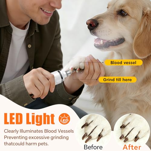 Dog Nail Grinder Electric Powerful 3 Speeds Dog Nail Clippers with Lights Quiet Cat Nail Clipper Painless Care Trimmers Tools for Small Medium Large Dogs and Cats (Black) - color: Black