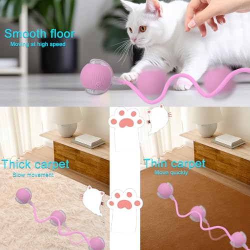Interactive Cat Dog Toy Ball with LED Light, Automatic Rolling(Pink) | String Tail and LED Light Design, Motion Activated, Suitable for Interactive Indoor Pet Play and Exercise - color: Pink