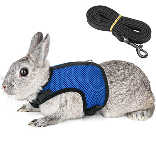 PETTOM Bunny Rabbit Harness with Stretchy Leash Cute Adjustable Buckle Breathable Mesh Vest for Kitten Small Pets Walking (Blue,XS) - color: Blue, size: XS(Chest:7.87-10.6 in)