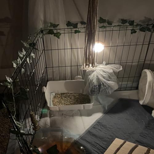 11Pcs Rabbit Litter Box Toilet,Bunny Corner Litter Bedding Plastic Square Grate Guinea Pig Bunny Ferret Hamster Hedgehog, Potty Trainer Bedding Box for Guinea Pig Ferret Hamster Hedgehog (White) - color: White
