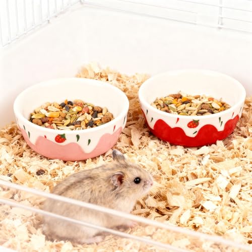Wontee Hamster Food Bowl 2 Pack Ceramic Food Water Bowl Anti-Tipping for Dwarf Hamsters Gerbil Mice Hedgehog Guinea Pig (Red+Pink) - color: Red+Pink