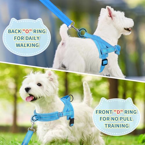 Lukovee Small Dog Harness and Leash Set, No Pull Soft Padded Vest | Both Neck & Chest Adjustable, Reflective, Puppy Harness with 4ft Lightweight Anti-Twist Dog Leash for Small Dogs (LBL, XS) - color: Light Blue, size: XS ( Chest 14'' ~ 18'')