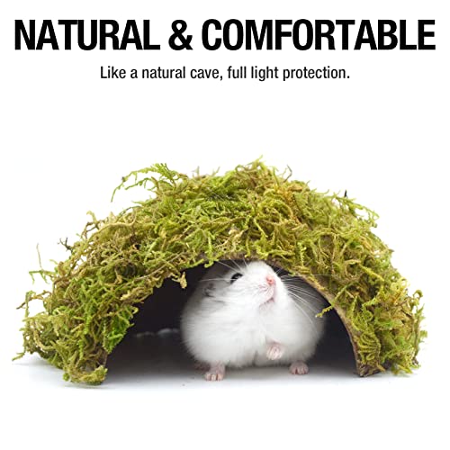 Hamster Hideout - Large, Natural Moss, Handcrafted for Syrian Hamsters, Rats & Guinea Pigs, Safe & Eco-Friendly - size: Cave, Large