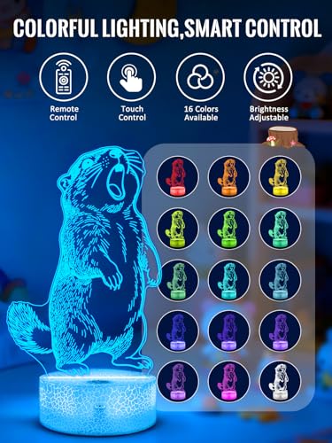 Groundhog 3D Night Light for Kids, LED 16 Colors Remote Control Changing Touch Dimmable Table Desk Lamp, Cute Animal Gifts for Groundhog Lovers Animal Fans - color: Color A
