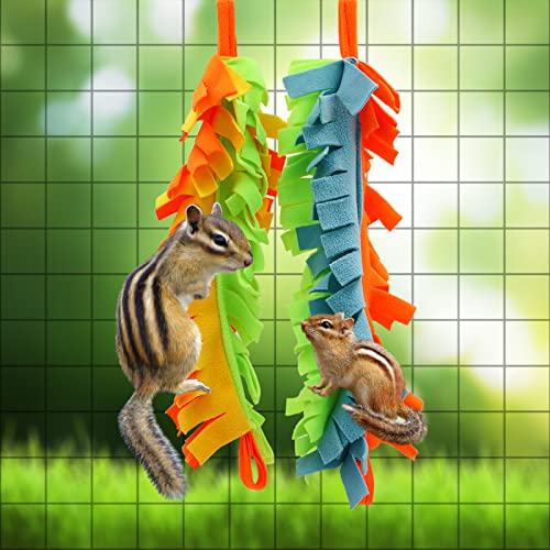 2 Pack Sugar Glider Climbing Toys, Sugar Glider Swing Toys, Heavy Pet Toys, Cage Accessories for Small Pets Like Hamster Squirrel Chinchilla Parrots