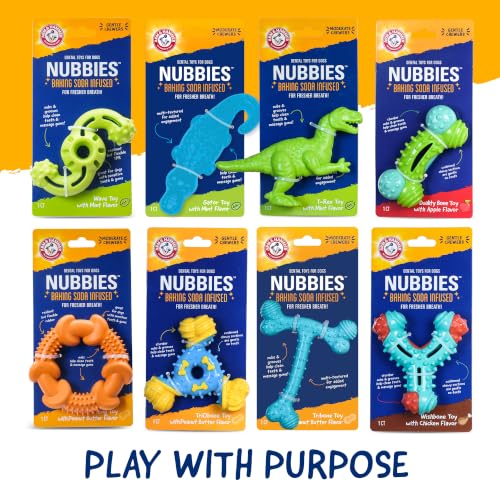 Arm & Hammer Nubbies T-Bone Dental Dog Chew Toy, Peanut Butter, 24-Pk | Durable nylon and TPR nubs clean teeth and gums, built for aggressive chewers - color: Blue T-Bone, size: 24 Count