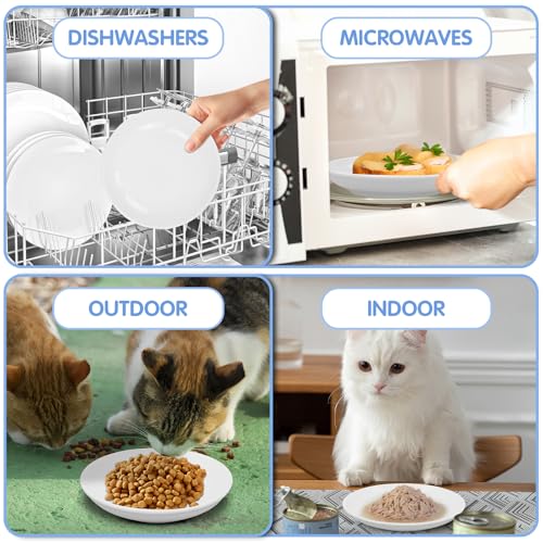 6 Pack Cat Food Bowl, Ceramic Cat Bowls, Anti Whisker Fatigue Cats Bowl Set | 5.5 Inches Shallow Wide Kitten Plates for Food and Water (White-C) - color: White