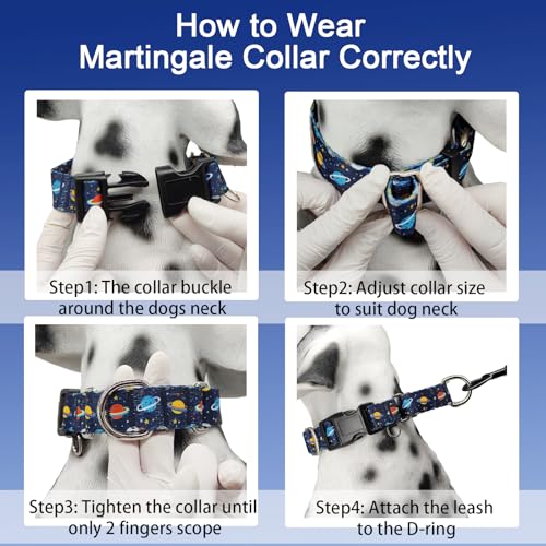 Martingale Dog Collars with Buckle No Slip Training Boy Dog Collar for Small Dogs (Blue Space, Small) - color: Blue Space, size: Small