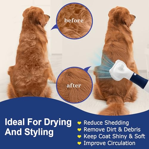 3-in-1 Pet Hair Dryer & Slicker Brush for Dogs & Cats – Portable, Professional, Adjustable Temp, Overheat Protection Dog Hair Dryer (blue) - color: blue