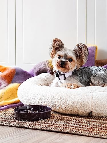 Ceramic Slow Feeder Dog Bowls Small Breed, 0.5 Cups Dog Food Dish for Fast Eaters, Puzzle Bowl for Small Dogs and Cats, 5.5 Inch-Purple - color: Purple