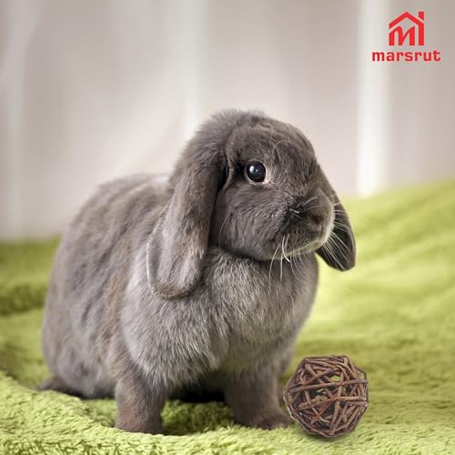 9pcs Willow Balls For Rabbits Bunny, Rattan Chew Toys, 2.1-2.3" Natural Branch Wicker Activity Treat Busy for Chinchillas Guinea Pigs Hamsters Gerbils Parrot Bird Small Animal Rats Bunnies Pet Gerbil