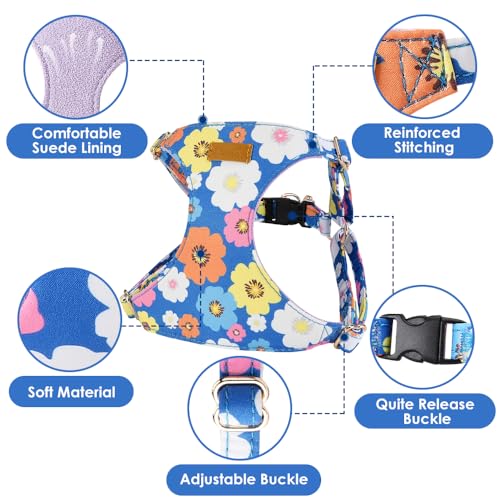 Lukovee Small Dog Harness and Leash Set, No Pull & Lightweight Step in Vest | Adjustable, Step in Easy Put on and off, No Choke, Soft Cotton and Suede, for Small Dogs Puppy Daily Walking (Blue, XS) - color: ·Blue Flower, size: X-Small ( 5.5-11lb )