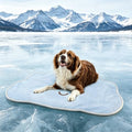 Dog Cooling Mat,Washable Cool Mat for Dogs,Self Cooling Pads for Dogs Cats,Cool Fabric & Internal Cooling Pad (Large, Cloud Style) - size: Large