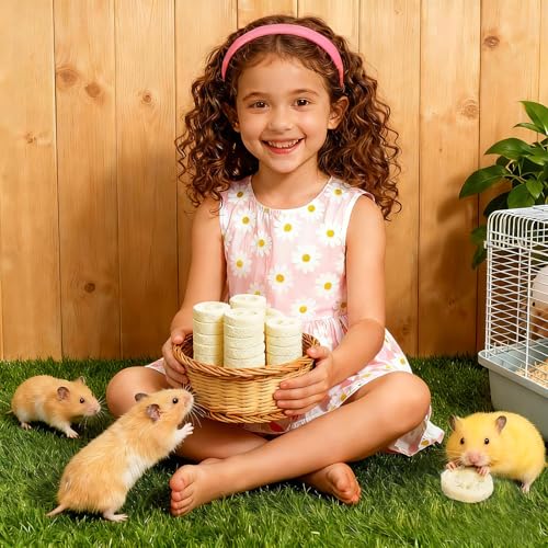 Toddmomy Rabbit Chew Toys 20pcs Loofah Teeth Grinding Toys Small Animal Tooth Cleaning Tools for Guinea Pig Chinchilla Hamster