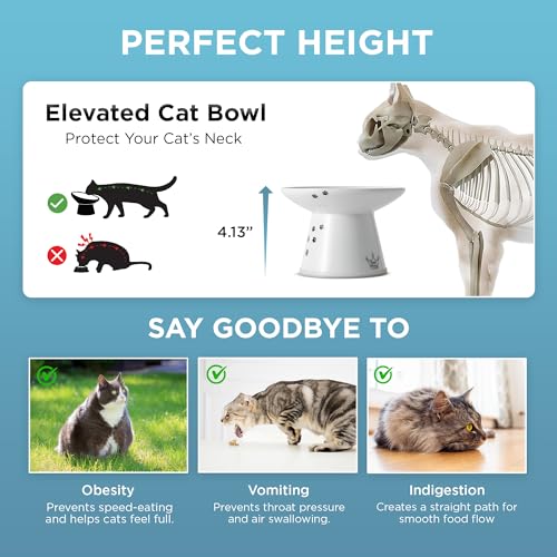 Necoichi Ceramic Extra-Wide Elevated Cat Food Bowl (Cat, Extra Wide) - color: Cat, size: Large Extra Wide