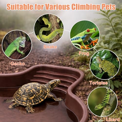 Petmolico Large Reptile Water Dish Non-Slip Bottom Habitat Accessories | For Turtle, Tortoise, Lizard, Gecko, Snake & Bearded Dragon