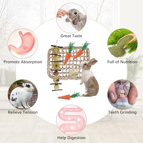 Hamiledyi Rabbit Seagrass Activity Mat Bunny Toy Hanging Rabbit Chew Toys for Teeth Bunny Enrichment Toys Seagrass Protector Mat Small Animal Toys for Chinchilla Guinea Pigs Hamsters Rats Rodent - style: B