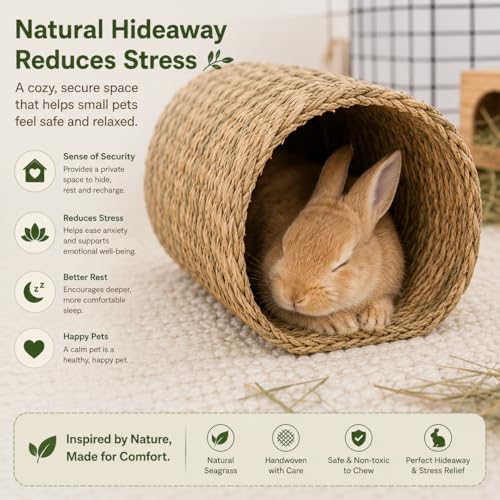 PEMAR Natural Seagrass Bunny Tunnel - Handwoven Rabbit Hideaway & Edible Grass House - Safe Chew Toy, Bed for Guinea Pigs, Chinchillas, Rats & Indoor Bunnies - Small Animal Enrichment (9x8.3x6.3”)