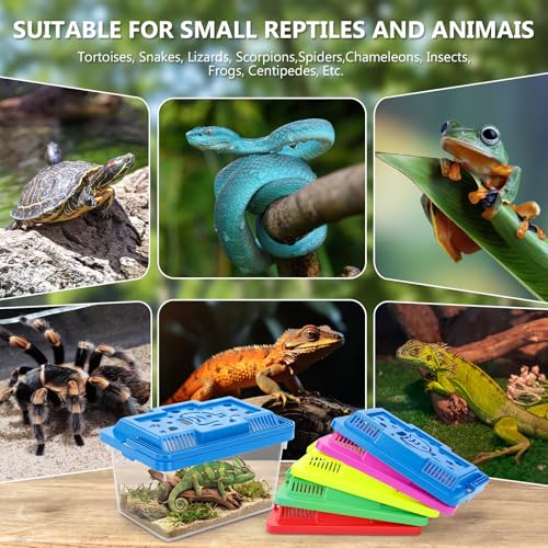 LemonRoad 25 Pcs Plastic Reptile Terrariums,Cute,5.1x3.5x3.5 Inch | Carrier Cage, Tarantula Enclosure Snake Breeding Box, Portable Fish Tank, with Ventilated Lid for Spider Turtle Lizard - color: Cute, size: 5.1x3.5x3.5 Inch