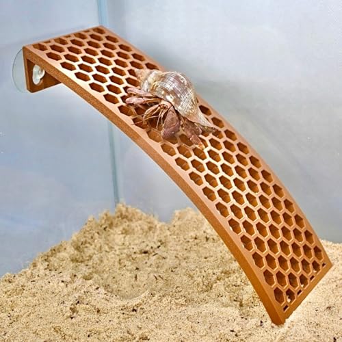 Hermit Crab Ladder Ramp Climbing Toy | Hermit Crab Tank Enrichment Decor | Hermit Crab Decoration Accessories Supplies Toys Ornaments
