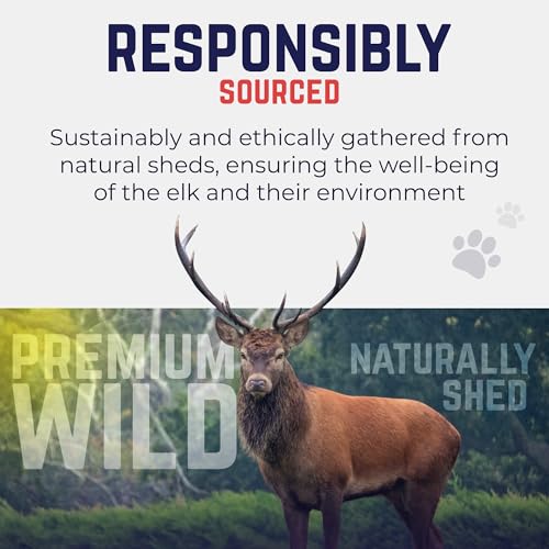 Devil Dog Pet Co Whole Elk Antlers for Dogs, Large, Aggressive Chewers | Naturally shed Grade A Rocky Mountain elk antler, single ingredient, long lasting, 6 in+, fits breeds up to 75 lb - style: WHOLE - Large - 1 Pack