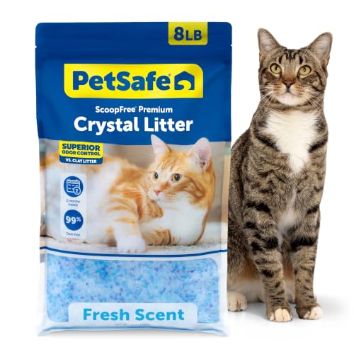 PetSafe ScoopFree Odor Control Crystal Cat Litter, Fresh Scent, 8 Lb Bag | 5x Faster Odor Control than Clumping Clay Litter, 99% Dust-Free, Low Tracking Crystals, Compatible with Any Cat Litter Box - size: 1-Pack (8 lb Bag)