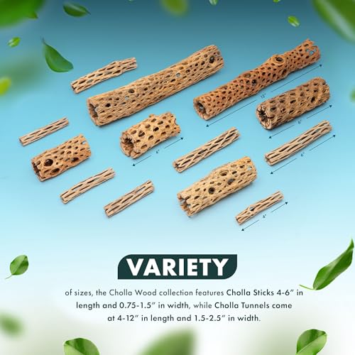 Natural Cholla Wood - Driftwood for Aquariums, Air Plant Base, Hermit Crab and Freshwater Shrimp Hideout, Fish Tank Decoration, Chinchilla Chews, Reptile Habitat Wood - 4 Inch, 3pc - size: 4 Inch (Pack of 3)