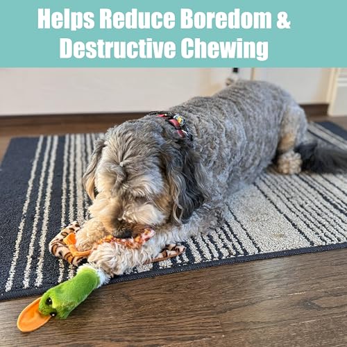 SPOT Skinneeez Mini Mallard Duck 13 Inch Stuffing-Free Plush Squeaky Dog Toy – Soft Interactive Toy for Small and Medium Dogs – Mess-Free Play for Light & Moderate Chewers – Assorted Styles - style: Mini Mallard Duck