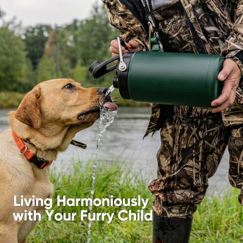 Fijinhom Half Gallon Insulated Water Bottle for Travel: 2-in-1 Straw and Spout Lid, Keep Cold 24Hrs, Leakproof, 64oz Water Jug With Handle, Vacuum Stainless Steel for Sports, Hiking, Trip(Green) - color: Green, size: 64 Ounces
