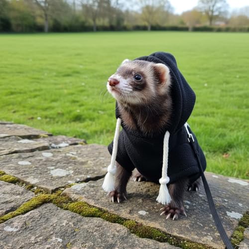 Small Pet Harness Vest and Leash Set Ferret Clothes Hoodies for Ferrets for Outdoor Walking Rabbit Ferret Guinea Pig Bunny Hamster Puppy Kitten (Black Clothes + Leash) - color: Black clothes + leash