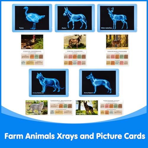 10 Pcs Farm Animal Xrays - Light Table Accessories | Vet Role Play & Preschool Learning Farm Animal X-Ray Set - style: Farm Series