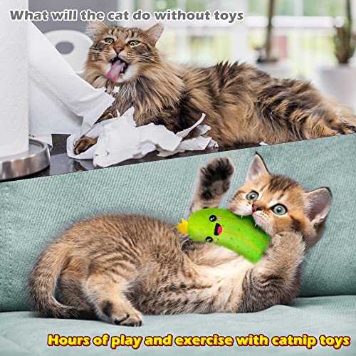 MALLMALL6 Pickle Catnip Cat Toys - 5Pcs Indoor Kitten Chew Bite Kick Cucumber Catmint Interactive Toys for Cat Lover Gifts, Kitty Boredom Relief Supplies with Cute Expression for Pet Birthday Presents - style: Pickle(Large)