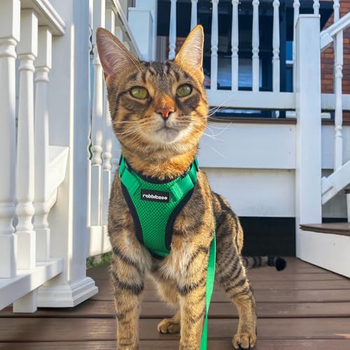 rabbitgoo Cat Harness and Leash Set, Escape Proof Vest, Grass Green | Soft Breathable Mesh, Easy Adjustable Fit, Snap Buckles, Sturdy Clip, Reflective Strips, for Kittens & Small Cats Walks, Xxs - color: Grass Green, size: Xxs