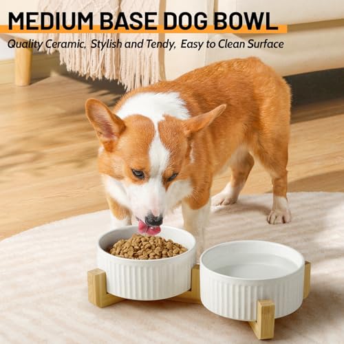 Non-Slip Ceramic Dog Bowls with Wood Stand,6" Dog Food and Water Bowl Set with Silicone Base, 32 OZ/4 Cups Weighted Flip-Proof Pet Feeding Bowl for Small Dogs and Cats (Medium,White) - color: Wood Stand, size: 4 Cups