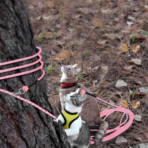 Reflective Cat Long Leash 30 FT, Outdoor Backyard Cat Tie Out Lead, Pink | Backyard Play, Reflective Nylon Rope, Dual 360° Swivel Hooks, Lightweight Cat Tie Out, Pink M, Small Pets - color: Pink, size: 30 FT