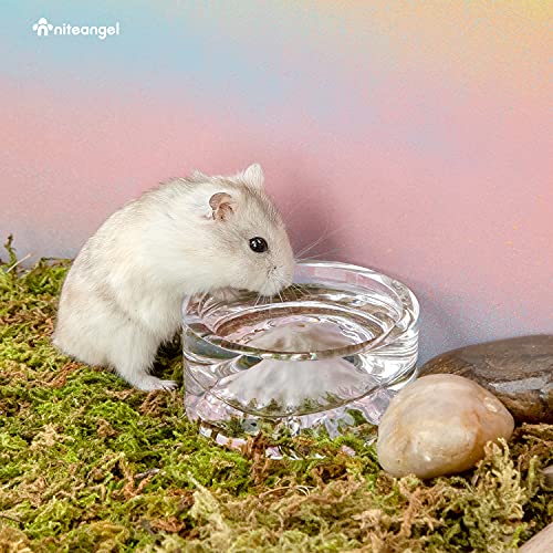 Niteangel Hamster Feeding & Water Bowl- 50ml Capacity & No Wet Fur for Pet | Chew Proof - Mount Fuji Series Glass Drinking Bowls for Dwarf Syrian Hamsters Gerbils Mice Rats or Other Similar-Sized Pets