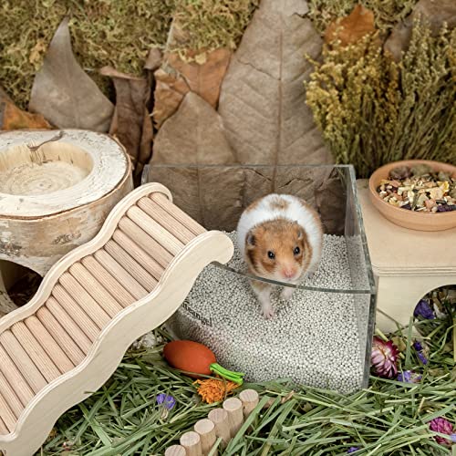 Niteangel Training Litter Potty Sand: 1.4 L x 2 Absorb Odor & No Dust | Clumps Easily & Encourages Digging - Hamster Sand Bath for Syrian Dwarf Hamsters Gerbils Mice Lemming or Other Small Pets - size: 1.4 L x 2 - Purple Label